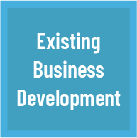 Existing Business Development