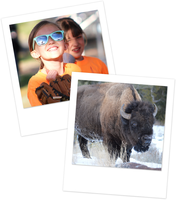 Polaroid photos of two little girls in one and a buffalo in the other