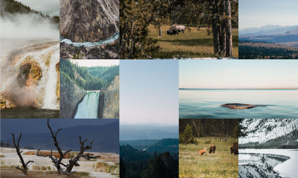 Multiple photos of Yellowstone National Park