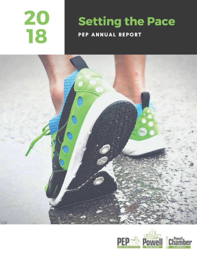 Cover for the PEP Annual Report 2019