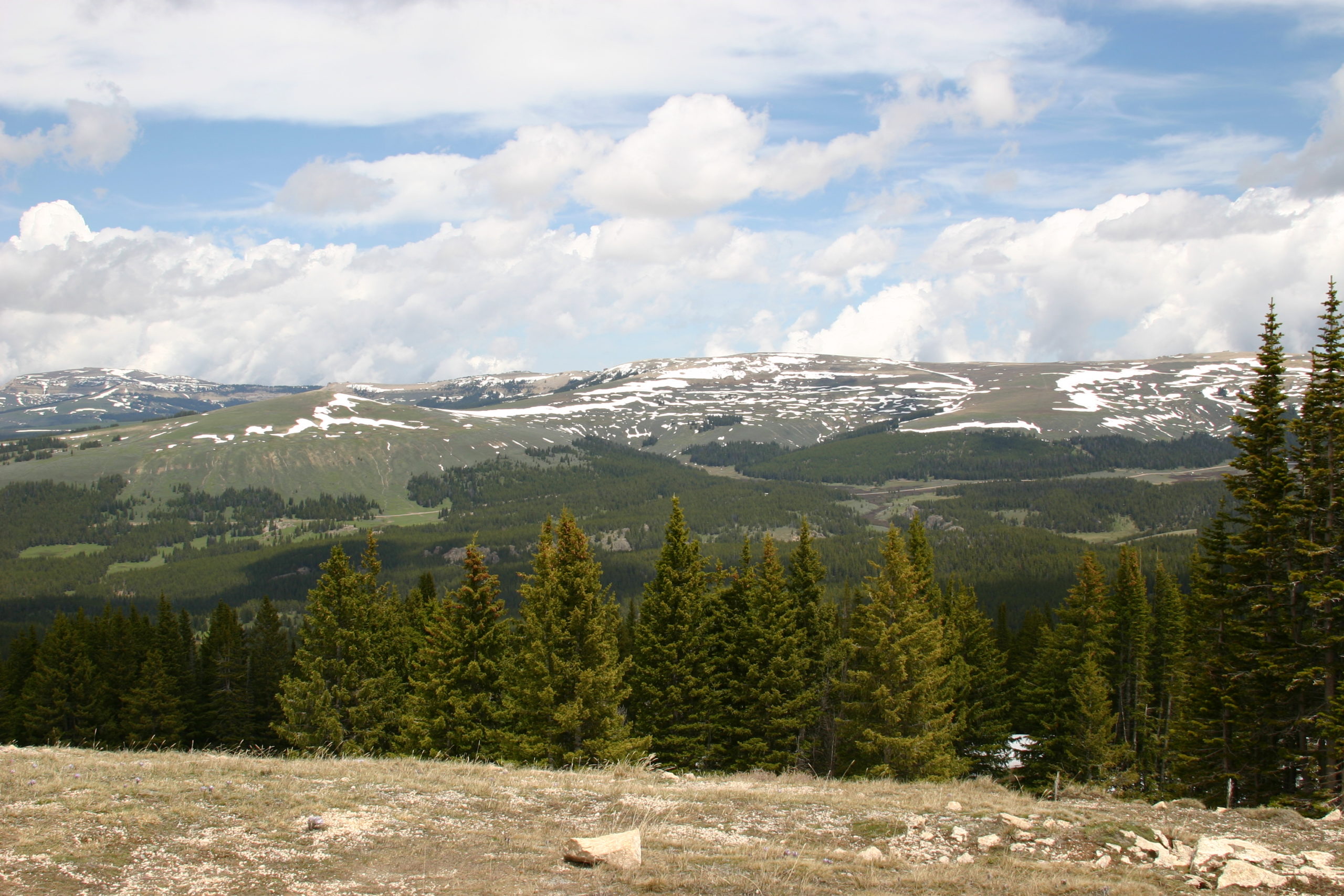 Photo of a hike to Medicine Wheel in the Bighorns Stay and Play