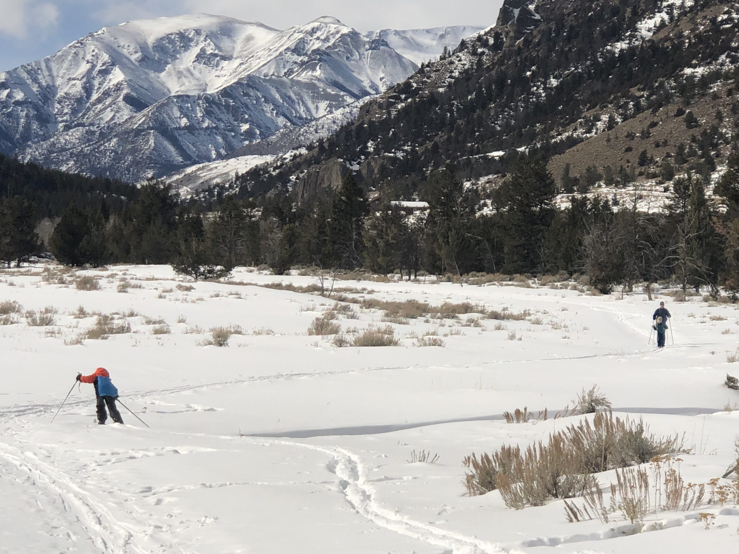 Photo of two people cross county skiing outside Meeteetse