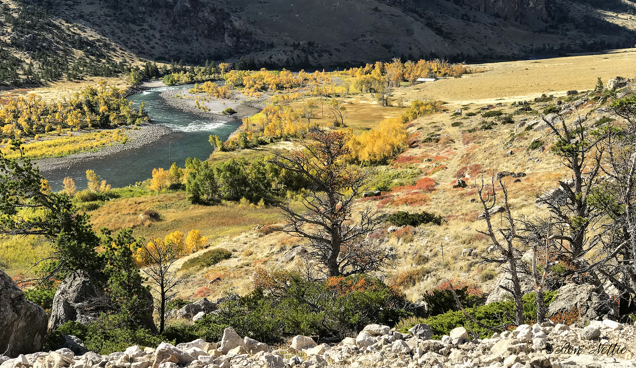 Photo of the Clarks Fork Canyon in Fall