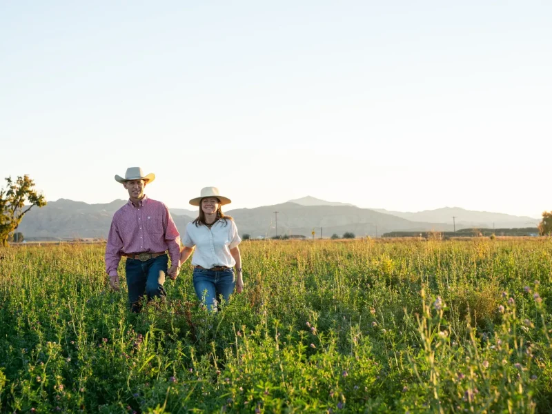 A couple wearing cowboy hats walking through a field near Powell, Wyoming